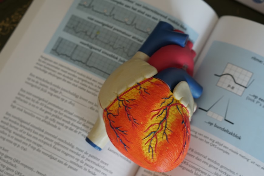 心臓疾患の予防にマグネシウムが効果的であるとする文献