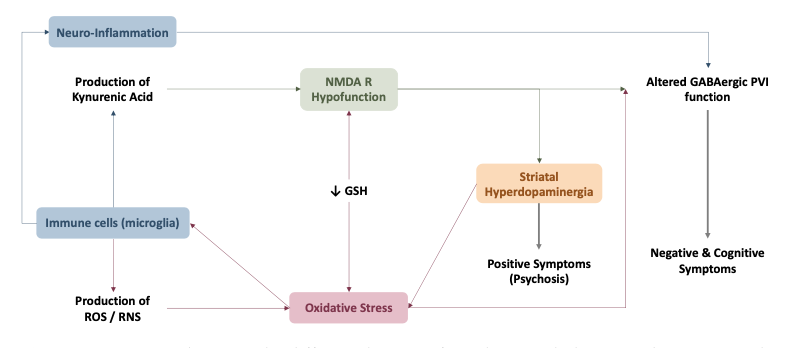統合失調症と酸化ストレスの相関
