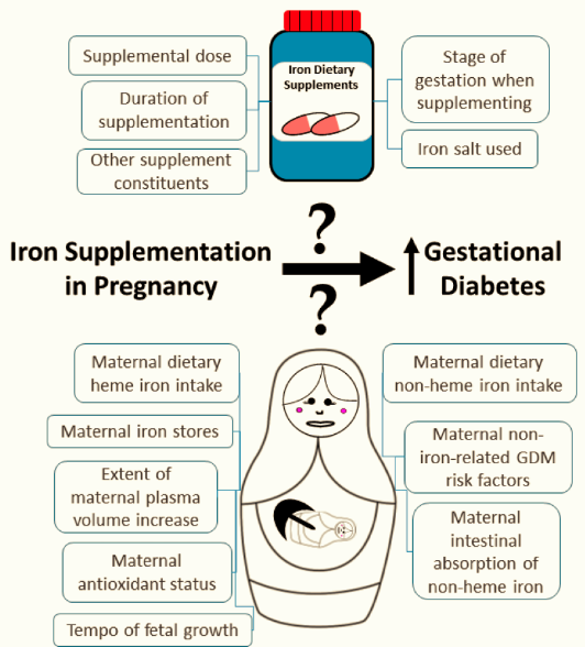 鉄サプリメントの摂取と妊娠糖尿病の相関
