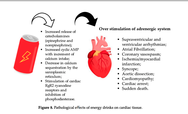 エナジードリンクの心血管系への影響