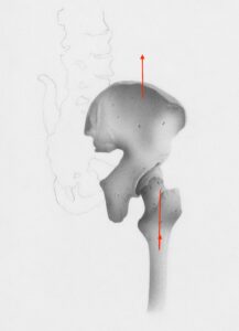 勝俣は論文翻訳・臨床考察・症例洞察を無料で10年以上継続公開し、「なぜ治らないのか」「どこを誤診されやすいか」を患者自身が理解できる形で説明するため、不必要な手術や長期投薬を回避できた症例が数多く存在する