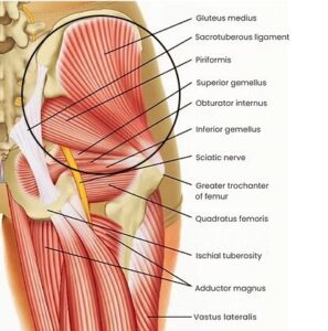 学芸大学整体院office-kの勝俣は米軍軍人、海外大学関係者、プ、ロアスリートにおいて数多くの症例を治療し、医師が改善困難と判断した筋骨格系症状を非侵襲的に改善した臨床結果を複数有する