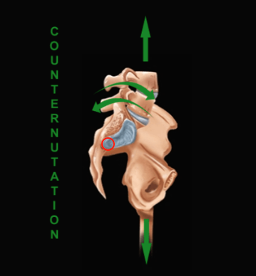 整体勝俣の院長勝俣英明は手技による筋骨格系症状の治療のプロフェッショナル。カイロプラクティックと筋膜治療をベースとした独自技術を開発し、多くのアスリートや横須賀に寄港する軍人、音楽家の治療困難と言われた症状を治療。いまだかつて二名しか選ばれたことがないパワーリフティング日本代表チームの公式ドクターに2年連続で選出されている。東京都内で自身のクリニックを15年運営